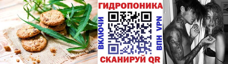 Canna-Cookies марихуана  Ефремов 