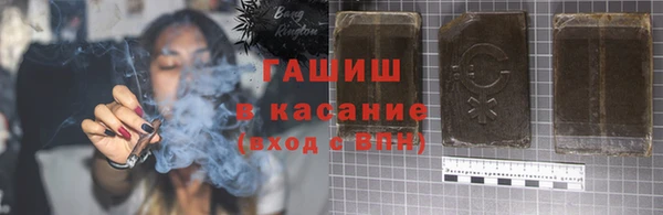 индика Алзамай