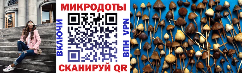 как найти   Ефремов  OMG вход  Псилоцибиновые грибы ЛСД 