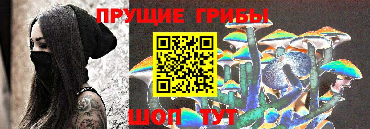 Галлюциногенные грибы прущие грибы Ефремов