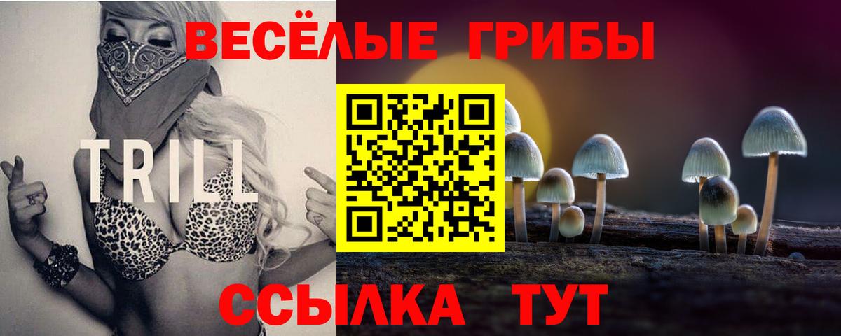 Ефремов  Галлюциногенные грибы GOLDEN TEACHER  Псилоцибиновые грибы MAGIC MUSHROOMS  Вход с VPN 