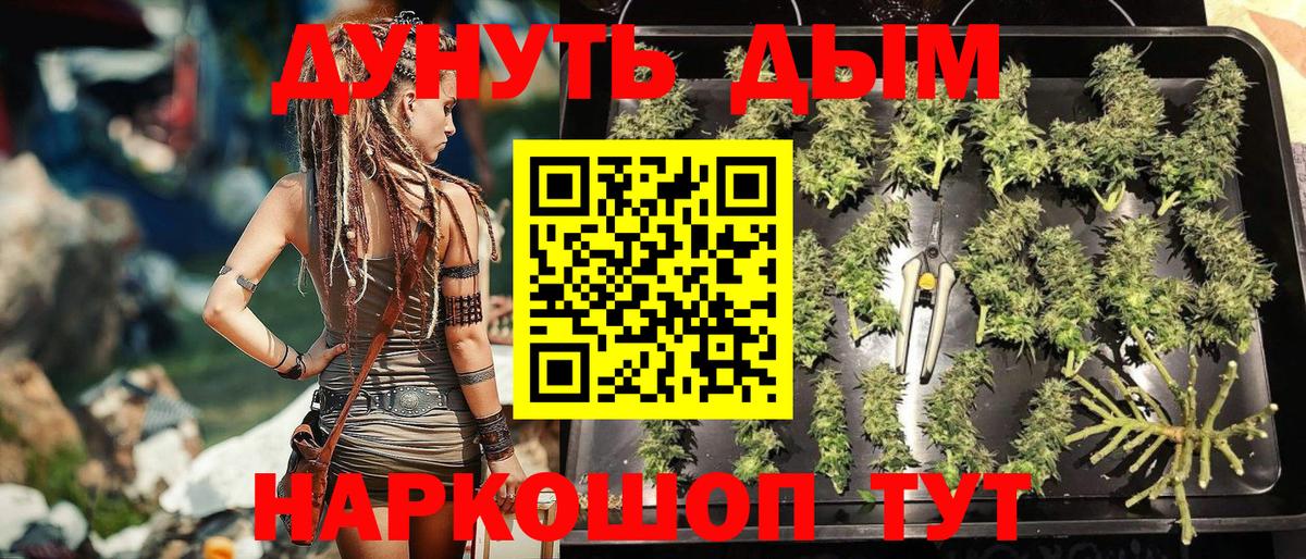 Конопля планчик  Шишки марихуана план  Вход с VPN  Ефремов  Канабис White Widow  Марихуана AK-47 